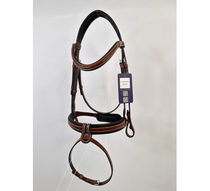 Leather Bridle 